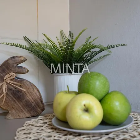 Daire Economic Flat Near The Synagogue Budapeşte