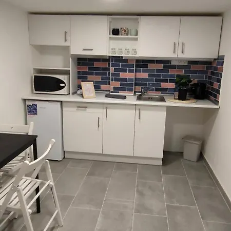 Economic Flat Near The Synagogue 公寓 布达佩斯