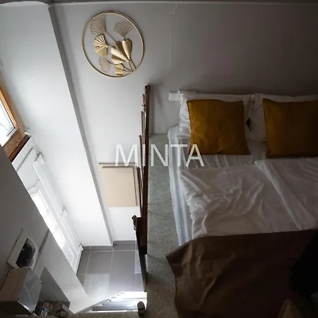 Economic Flat Near The Synagogue 公寓 布达佩斯